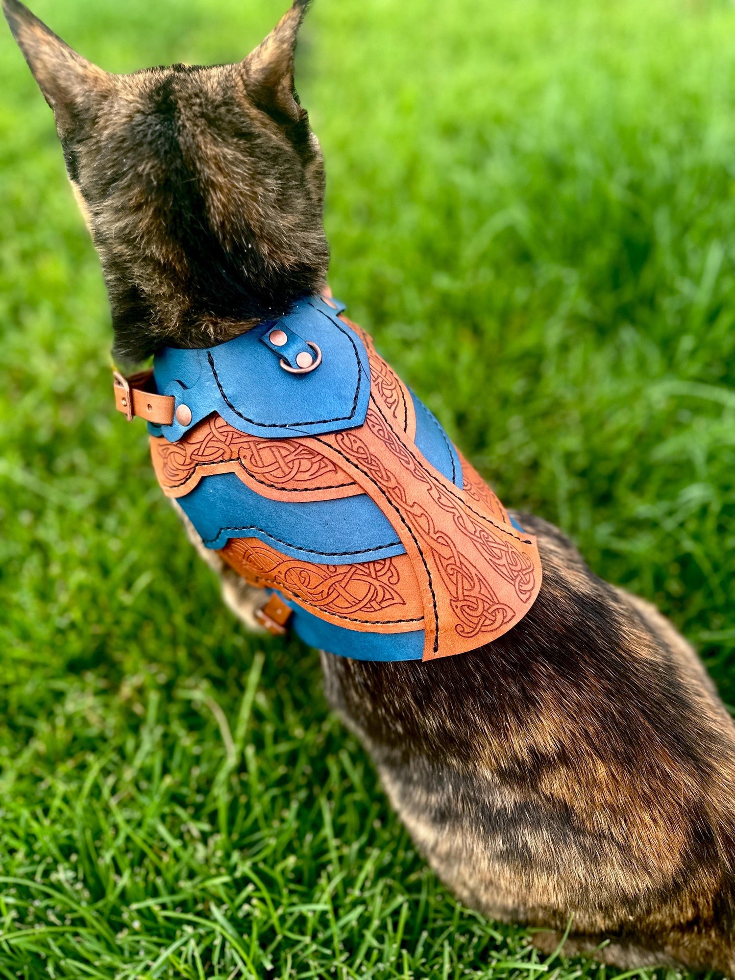 Frida Leather CAT Harness Armor