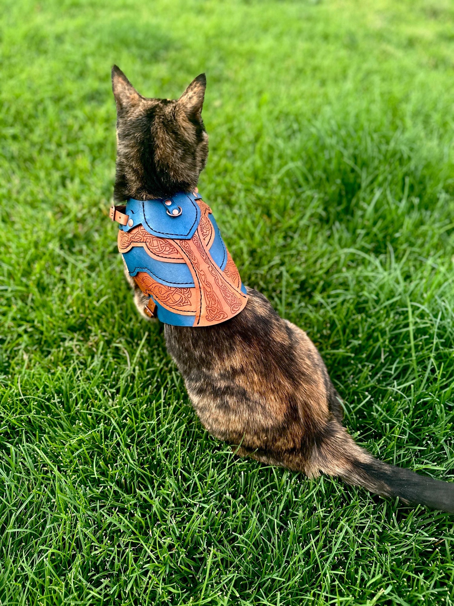Frida Leather CAT Harness Armor