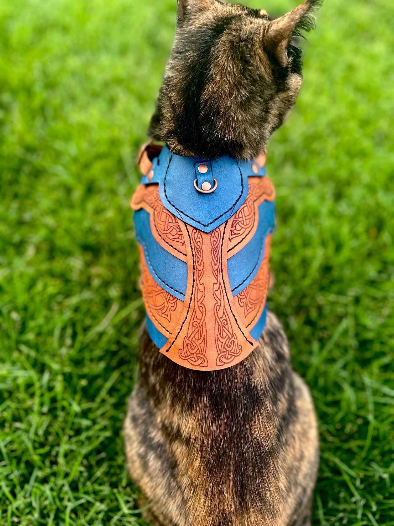 Frida Leather CAT Harness Armor