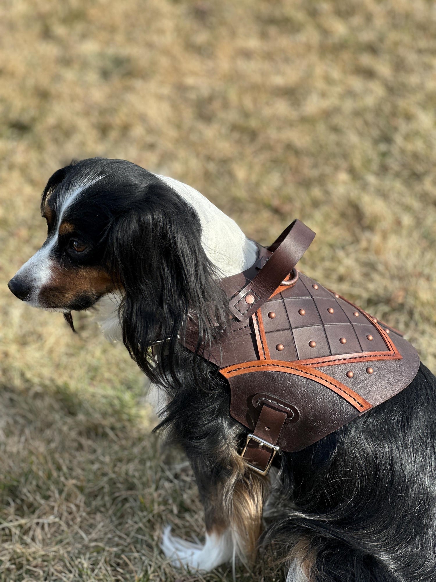 Bastion Leather Dog Harness Armor