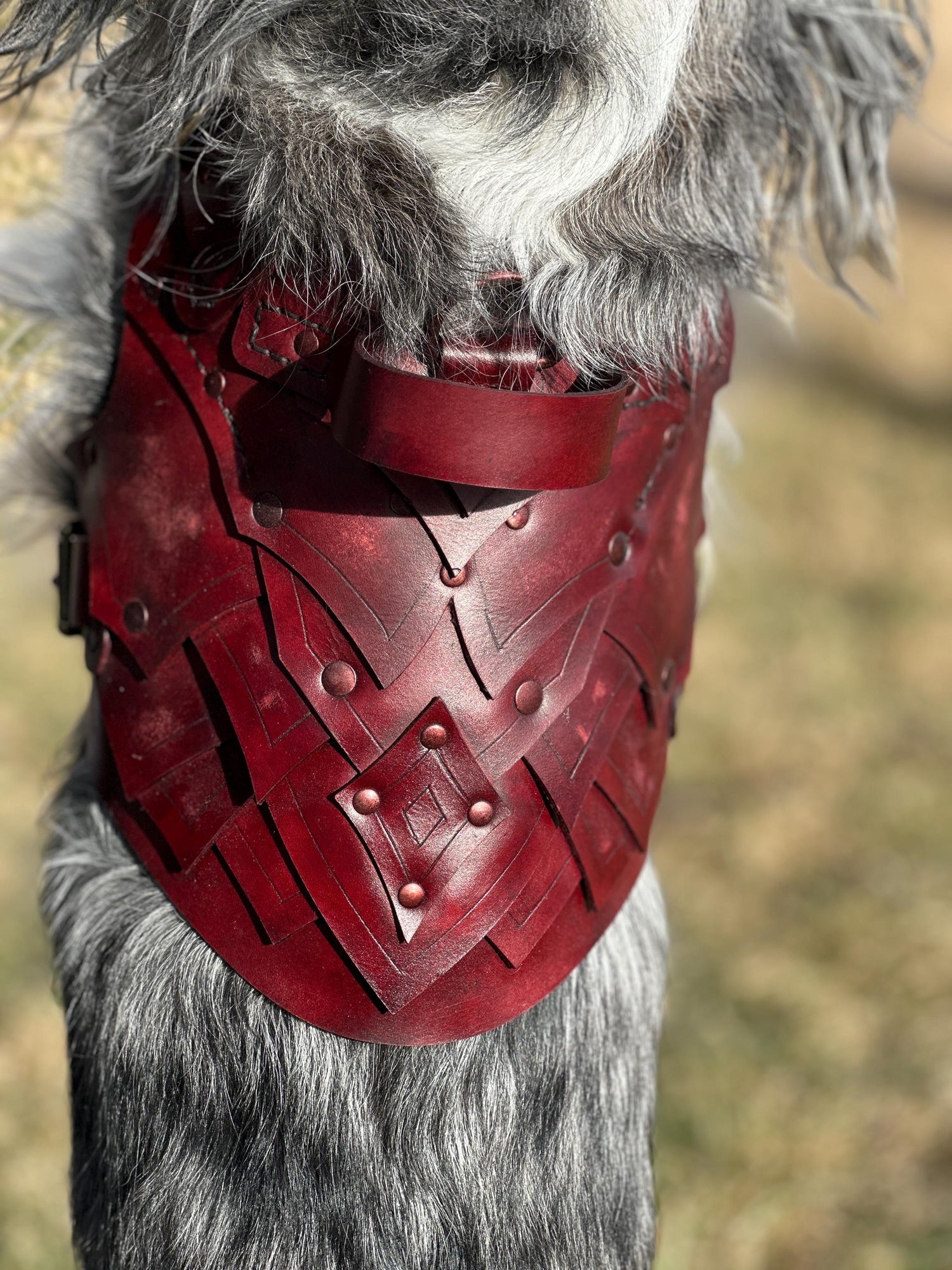 Dunamere Leather Dog Harness Armor