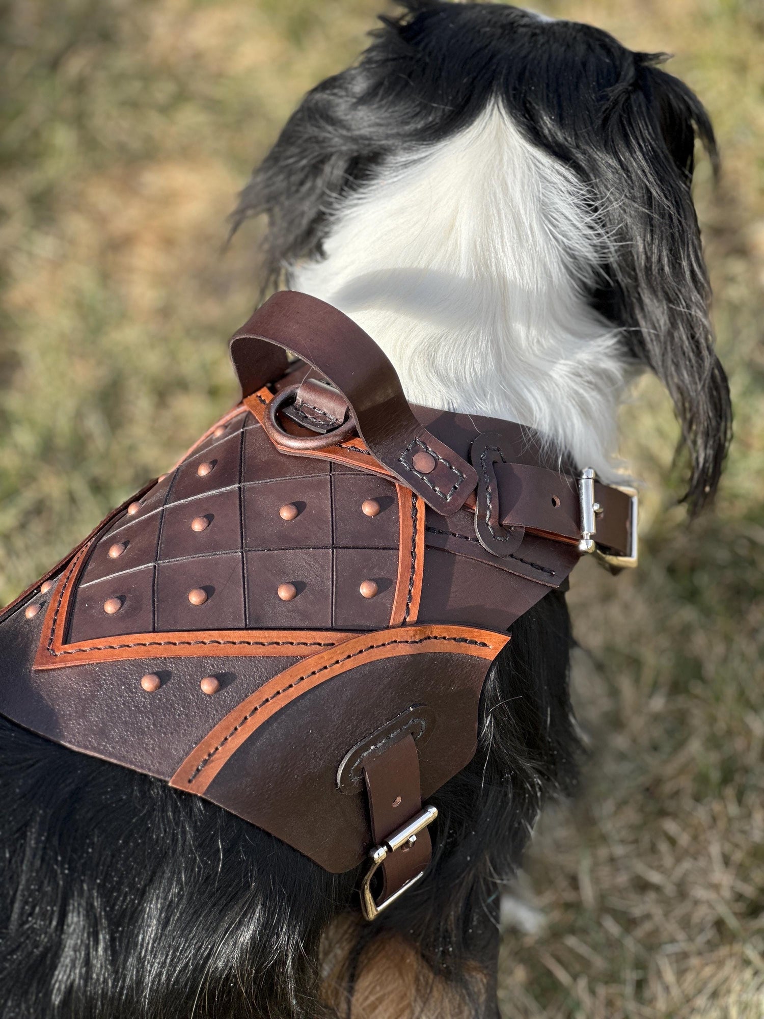 Bastion Leather Dog Harness Armor